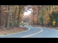 Deer crossing road in NJ in the Autumn Fall Season