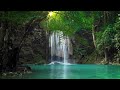 All Your Worries Will Disappear If You Listen To This Music🌿 Relaxing Music Calms The Nerves