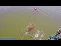 First Blacktip and Stingray From the Kayak - little guy but still fun.