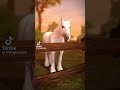 Star Stable TikToks #2!