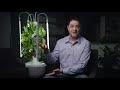 Grow Food Anywhere Without Soil and 95% Less Water | PARAGRAPHIC