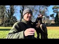 FALCONRY TRAINING: ROPE FITNESS & other top tips with eagles, Harris hawk, redtail and goshawk