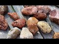 AMAZING Rock Saw Cuts 'RARE Moose Blood Kona Dolomite' Agates & Thunder Eggs #epic #amazing #agate