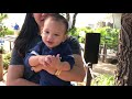 Keelan-Kharter Adventures: Honolulu Zoo and Waikiki Aquarium