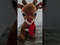 Rudolph the Red Nosed Reindeer Plush 21