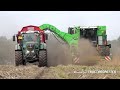Harvesting Potatoes | 2x AVR Puma 3 + FENDT 939 & 828 tractors | vd Borne Aardappels