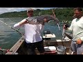 Post Spawn Blue Catfish Hammering Down (Ohio River)