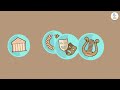 Ancient Greece and the Roman Empire 🏛️ History for Kids 🌍 Compilation