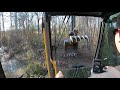 Cleaning Up The Forgotten Pond In The Woods