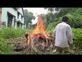 Abandoned house SWALLOWED by giant vegetation. Clean up, cut weeds, SHOCKING transformation