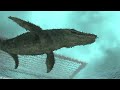 Jurassic World Legend: The life of Indominus Rex! - Animal Revolt Battle Simulator