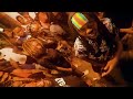 Imeru Tafari - OPTION (Official Music Video)
