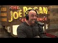 Joe Talks to Jim Breuer About People Fighting Monkeys