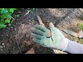 How To Avoid Digging Trash & Iron With The Minelab Equinox 800