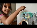 Our First Pet Birds | Buying Parakeets at Pet-Smart | Kid's Exciting Experience