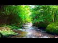 [Nature sounds/Water sounds/Relaxation] Fresh green murmurings１