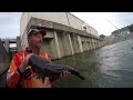 Catching Flathead Catfish On LIVE White Bass In VIOLENT Waters!