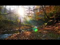 In Christ Alone: Christian Piano | Soaking Worship & Prayer Music With Autumn🍁Divine Melodies