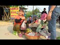 Harvesting Grapes Goes To Countryside Market Sell - Animals care, Harvest and preserve onions