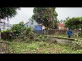 Help 80-year-old man cut grass and trees | Cleaning the yard makes the neighbors happy