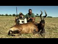 Namibia South Africa: Red Hartebeest Hunt
