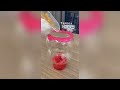 That Little Puff 😻 Cats Make Food 😻 TikTok Compilation 2024 #126