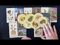 CAPRICORN A SHOCKING SURPRISE, WHAT GOES AROUND COMES BACK TO YOU AUGUST 2024 BONUS TAROT READING
