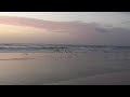 Seagulls Flying Away from Beach (SlowMo)