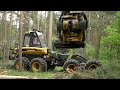 Paper Machines - How a Tree Trunk Becomes a Roll of Toilet Paper | Free Documentary Shorts