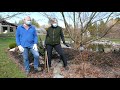 Pruning Gooseberry and Blueberry Bushes in the Comox Valley