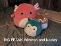 My plushie collection? (30 Subs!?!?!?)