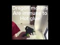 Ask another dragon maker