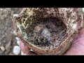 150 YR OLD ANTIQUE BOTTLES Dug Under 100 Yr Old Steel Factory