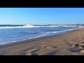 1 Hour of Ocean Waves: Relaxing Beach Sounds for Sleep and Study | Soothing White Noise | HD Video