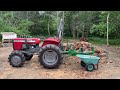 Splitting Wood in June