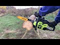Бензопила Poulan 2250 обзор и пробный рез. Chainsaw Poulan 2250 All-round review and trial cut.
