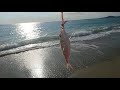 beach fishing south of France @ camping cala gogo Saint cyprien