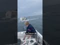 Whale breaches water and lands on boat in New Hampshire