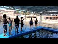 Short 3 min video Diego & Learae Dolphin Ocean World Oct 13, 2021 Costa Rica Mardi Gras Cruise