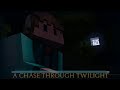 A Chase through Twilight