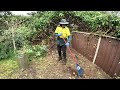 This Yard Needed some SERIOUS Work | Garden Restoration Episode