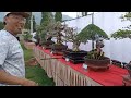 Kontes Bonsai Nasional di Borobudur mengenal lebih dekat keunikannya