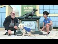 Pip | A Short Animated Film by Southeastern Guide Dogs