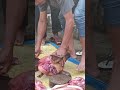 Butcher Struggle To Cut The Pork's Head