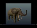 roblox mosaic survial/ elephant sniffing animation sneak peak