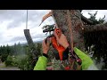 Removing A BIG FIR With ZERO Drop Zone!