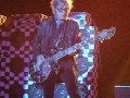 Cheap Trick Need Your Love Tom Petersson 12 String Bass Focus 06-09-13 Santa Barbara Bowl