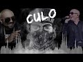 Pitbull ft. Lil Jon, Sean Paul - CULO remix