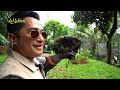 #5 METODE BARU MENANGKAP BURUNG2 DI AVIARY..!!  PAKE ELANG