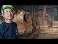 #54 Cut down the 200-year-old “Itajii” tree! ! Close call! ! A “dormouse” jumped out of the cave!!!